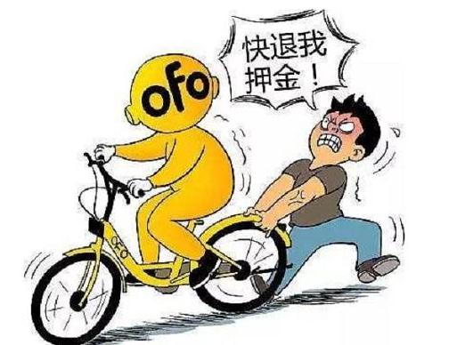 ofoӦѺ ѵΪofo