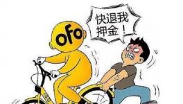 ofoӦѺ ѵΪofo